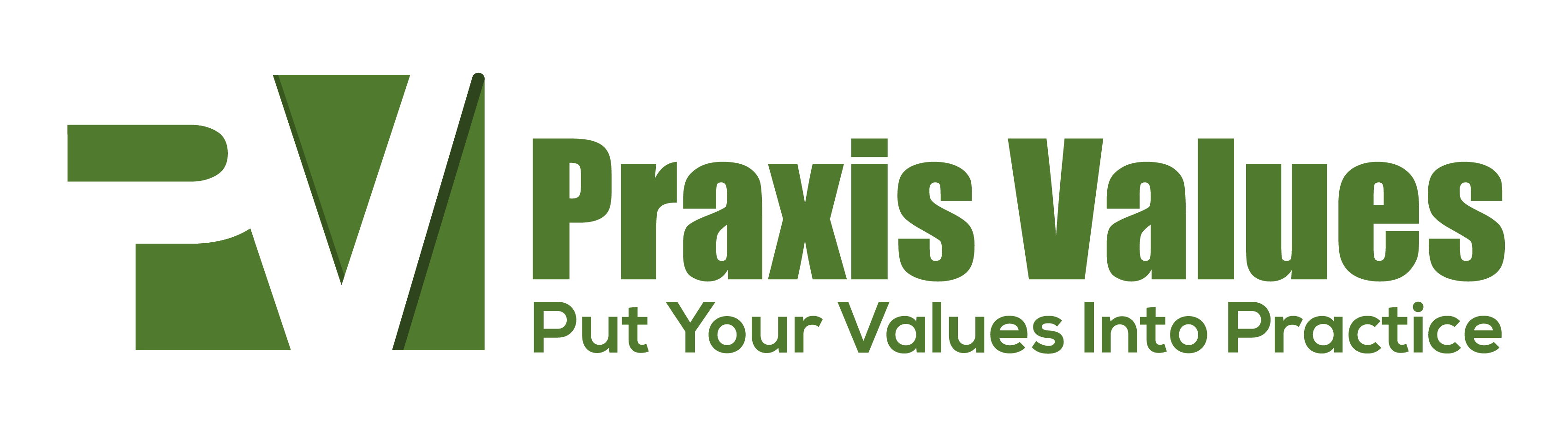 Praxis Possibilities